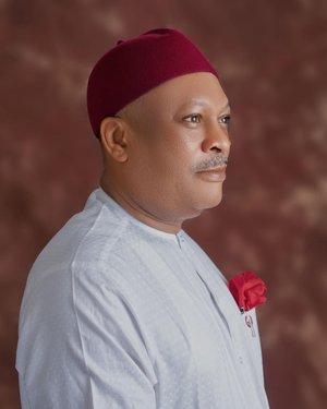 PDP crisis: Nothing like that – Samuel Anyanwu debunks suspension report