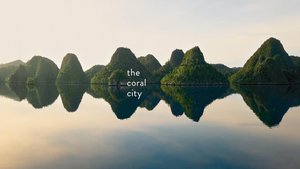 Coral City Season 1 Series Download