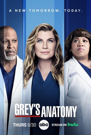 Grey’s Anatomy Season 1 – 2 Series Download