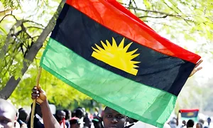 Nnamdi Kanu: IPOB releases further details of $19,000 payment to Ifeanyi Ejiofor