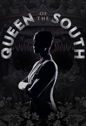 Queen Of The South Season 1 Series Download