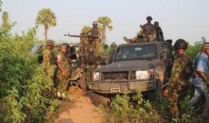 Troops intercept vehicle conveying suspected stolen livestock in Kebbi
